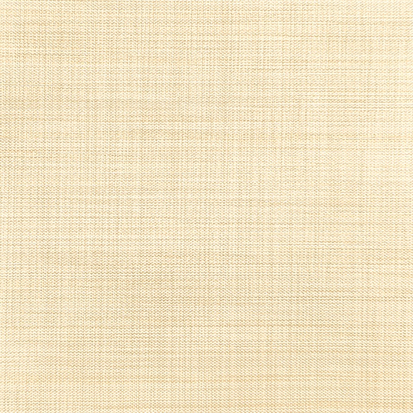 Ткань для рулонных штор Benone 7858 - изображение 1 - заказать онлайн в салоне штор Benone в Можайске